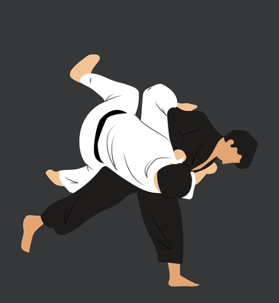 Judo : Itinéraire des champions