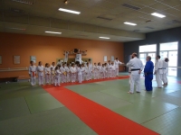 Premier stage au judo club