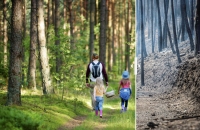Lutte contre les feux de forêt : connaître les bons gestes