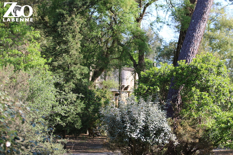 Zoo de Labenne