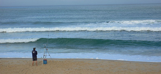 Amicale des pêcheurs en mer du Marensin