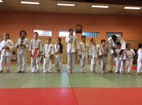 Judo Magescq : Fête du club samedi  24/05/2017