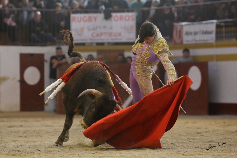 Club Taurin Magescq : Novillada,  dimanche 14 février 2016