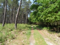 Promenades, parcours santé, VTT ...