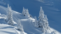 Séjour neige 2017